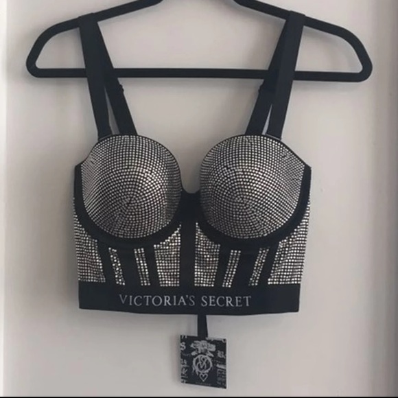Balmain Other - Victoria's Secret X Balmain Swarovski Bra